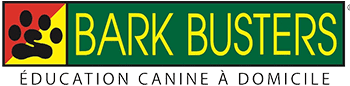 Bark Buster
